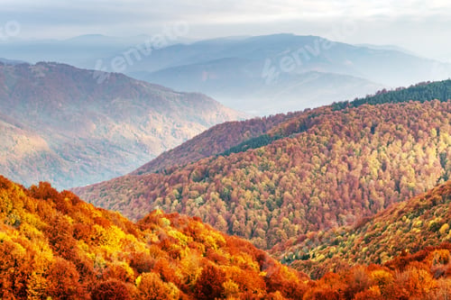 Preview: Picturesque autumn mountains with red beech forest