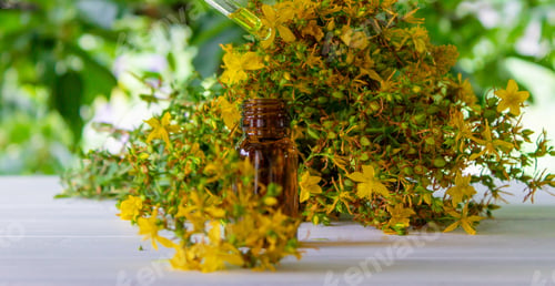 Preview: St. John's wort flower oil in a glass bottle. on a wooden background.