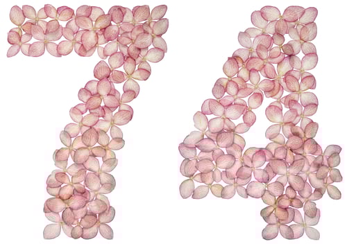 Preview: Arabic numeral 74, seventy four, from flowers of hydrangea, isolated on white background