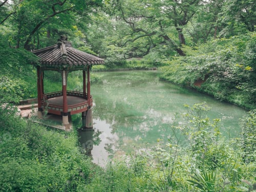 Preview: Pond with water lilies in amazing park