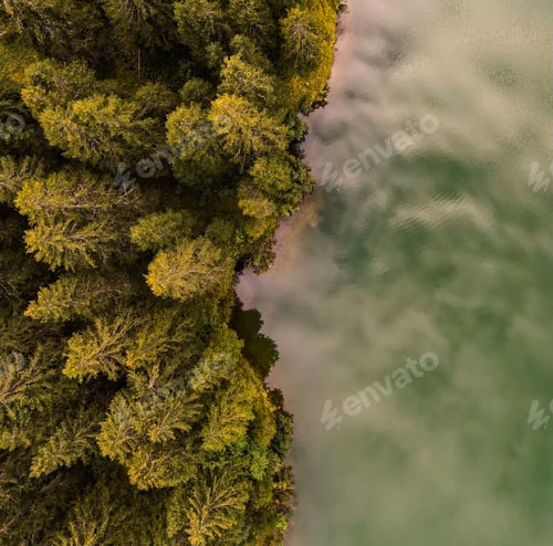 Preview: The lake and the forest