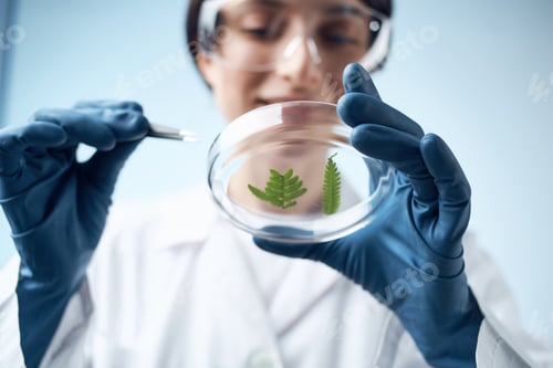 Preview: female doctor chemical solutions biologist research study light background