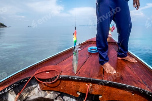 Preview: Fishermen fishing squid use bait