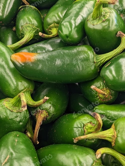 Preview: Vertical image of a large collection of spicy jalapeno peppers arranged in a pile