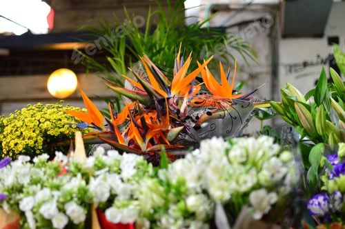 Preview: Beautiful shot of colorful sharp flowers at a market