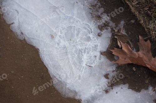 Preview: Ice On A Sidewalk