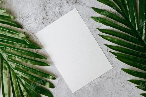 Preview: A blank card with envelope and leaf is placed on white background