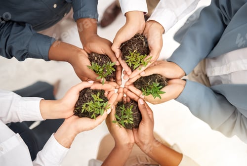 Preview: Teamwork, environment and plant with hands of business people for Sustainability, earth day and gro