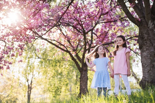 Preview: Two small girls standing outside in spring nature. Copy space