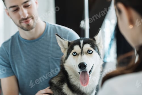 Preview: young man with husky and female veterinarian in clinic