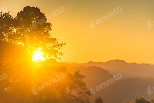 Preview: Golden sunshine sky tropical tree fields in sunny morning. Silhouette tree gold dawn mountain