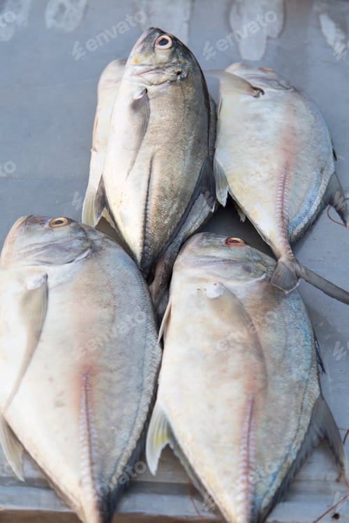 Preview: Fresh seafood