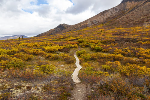 Preview: Canadian Nature Landscape in Yukon
