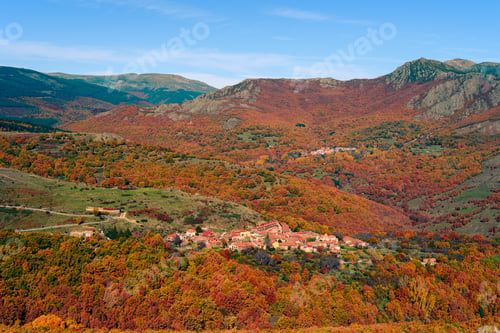 Preview: Autumnal beautiful landscape with chestnut trees, oaks and beech tree