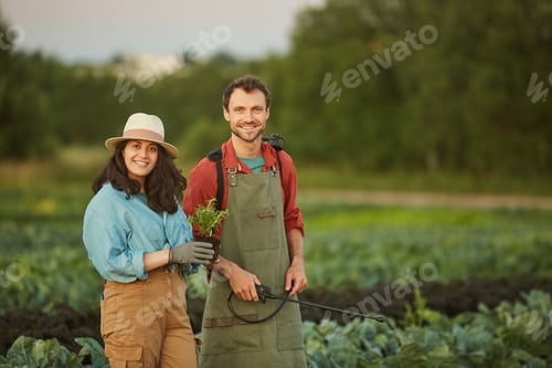 Preview: Couple of Young Farmers in Plantation