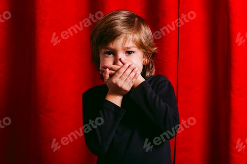 Preview: Portrait of a boy against a red background