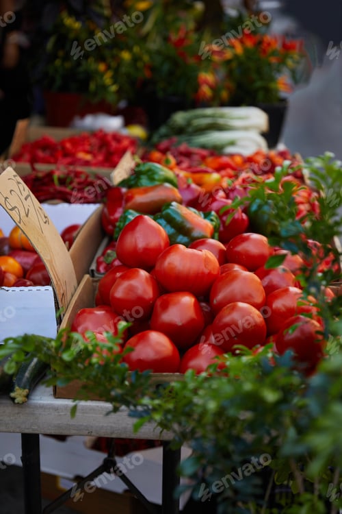 Preview: red tomatoes and bell peppers on seasonal autumnal farmers market in new york city, street scene