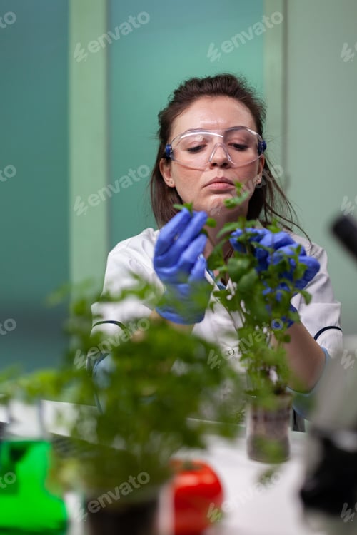 Preview: Portrait of biochemist researcher woman analyzing organic leaf of green sapling