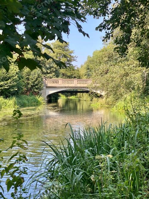 Preview: Vertical shot of the beautiful bridge in the park. The Broads, Coltishall, Norfolk.