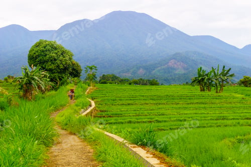 Preview: Wonderful sunrise scenery indonesia nature mountain