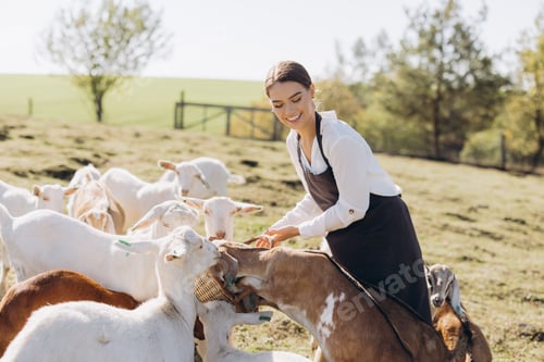 Preview: Young Woman in Apron Feeding Goats on Sunny Pasture While Smiling and Enjoying a Peaceful Day