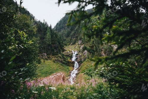 Preview: nature