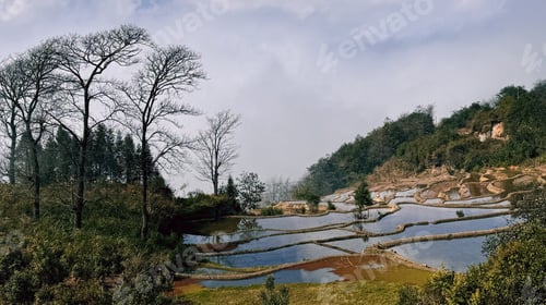 Preview: Terraced fields