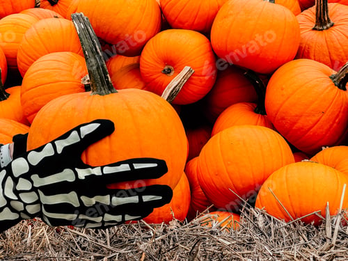 Preview: Pumpkins