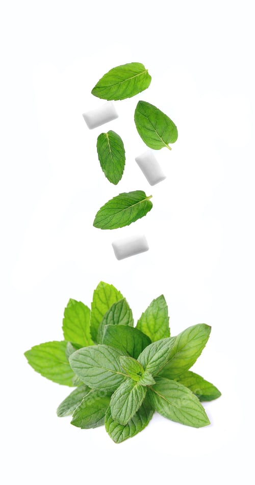 Preview: Fresh mint with falling mint leaves