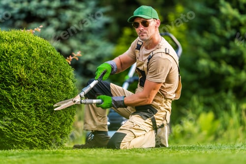 Preview: Gardener Trims Lush Green Shrub in a Vibrant Outdoor Space During a Sunny Day