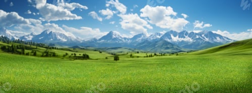 Preview: Landscape featuring a green meadow and snowy mountains