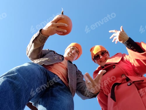 Preview: Pumpkin theme,
☀️