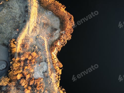 Preview: Autumn trees by the river during sunset - drone shot