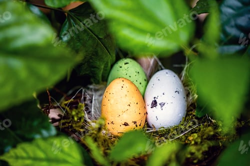 Preview: bird nest with colorful Easter eggs on branches of green trees, easter decoration, selective focus