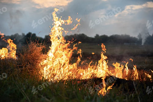 Preview: A fire burns in a field with dry grass.