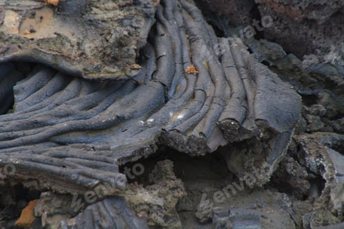 Preview: Closeup shot of a fresh lava field in Iceland with its small details