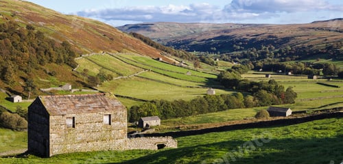 Preview: 49011,Rural Pastures with Barns