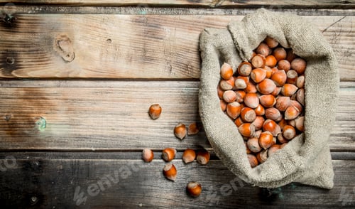 Preview: Hazelnut in the bag.