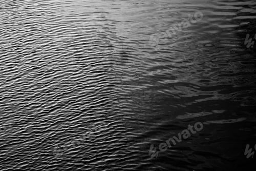 Preview: Monochrome shot of water ripples in a pond