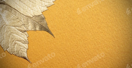 Preview: Background Leaves Autumn There Is A Place For The Inscription