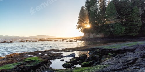 Preview: Rocky Shore on the Pacific Ocean Coast. Sunny Sunset. Nature Background