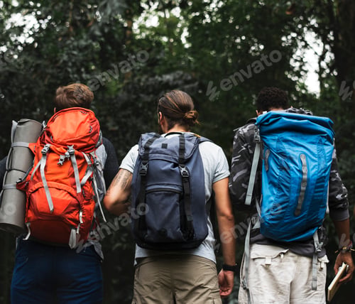 Preview: Trekking in a forest