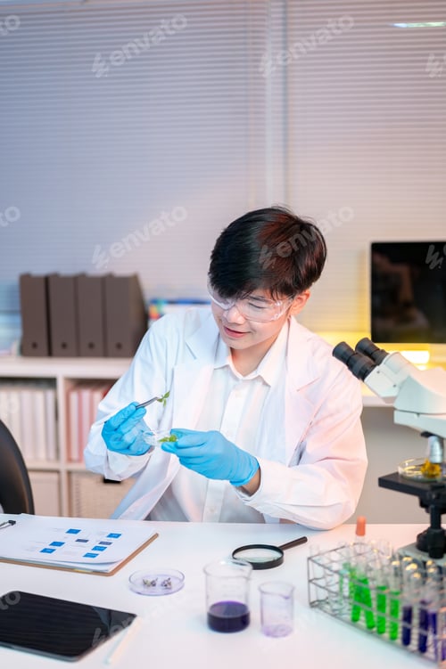 Preview: Scientist researcher man holding forceps with sample plant over petri dish at working table in lab.