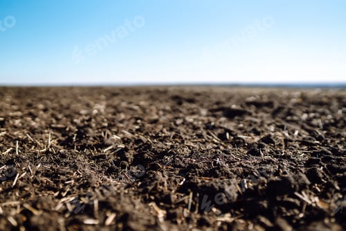 Preview: Close-Up of Tilled Soil Under Clear Blue Sky