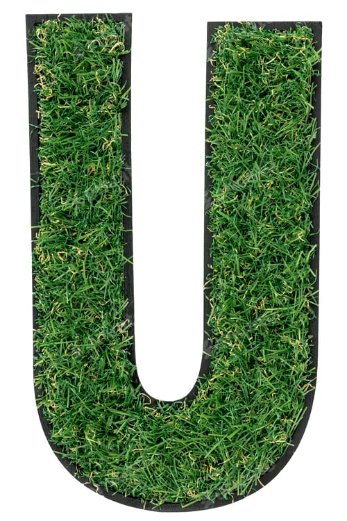 Preview: Letter U made of green grass isolated on white.