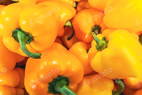 Preview: Ripe yellow bell pepper. Selling vegetables at the supermarket or farmers market. Eco food.