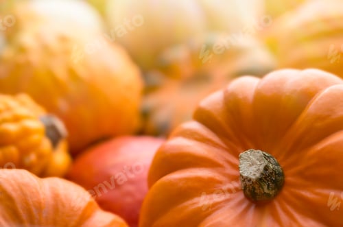Preview: Pumpkins background