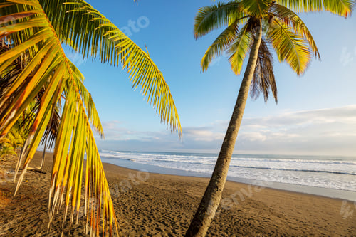 Preview: Coast in Costa Rica