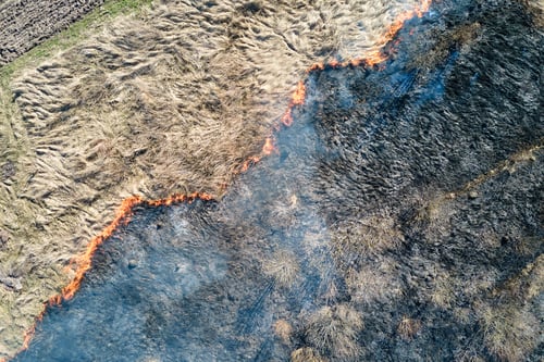 Preview: Aerial view of grassland field burning with red fire during dry season.