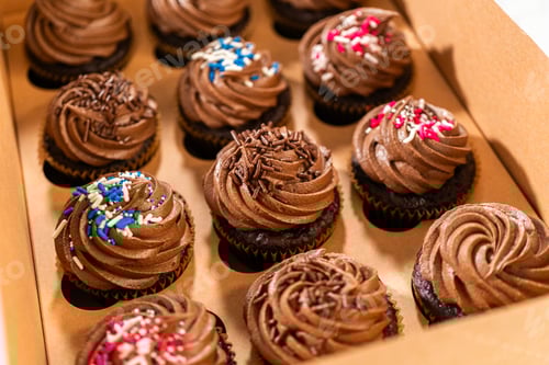 Preview: Delicious Chocolate Cupcakes with Colorful Sprinkles in Box